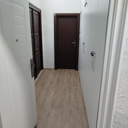 Guesthouse Bit Accommodation Kotor Bagian luar foto