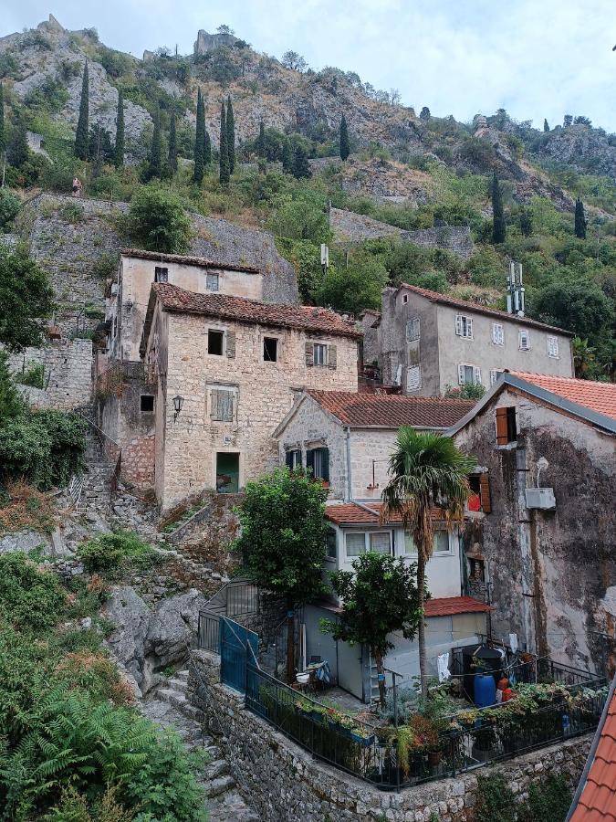 Guesthouse Bit Accommodation Kotor Bagian luar foto
