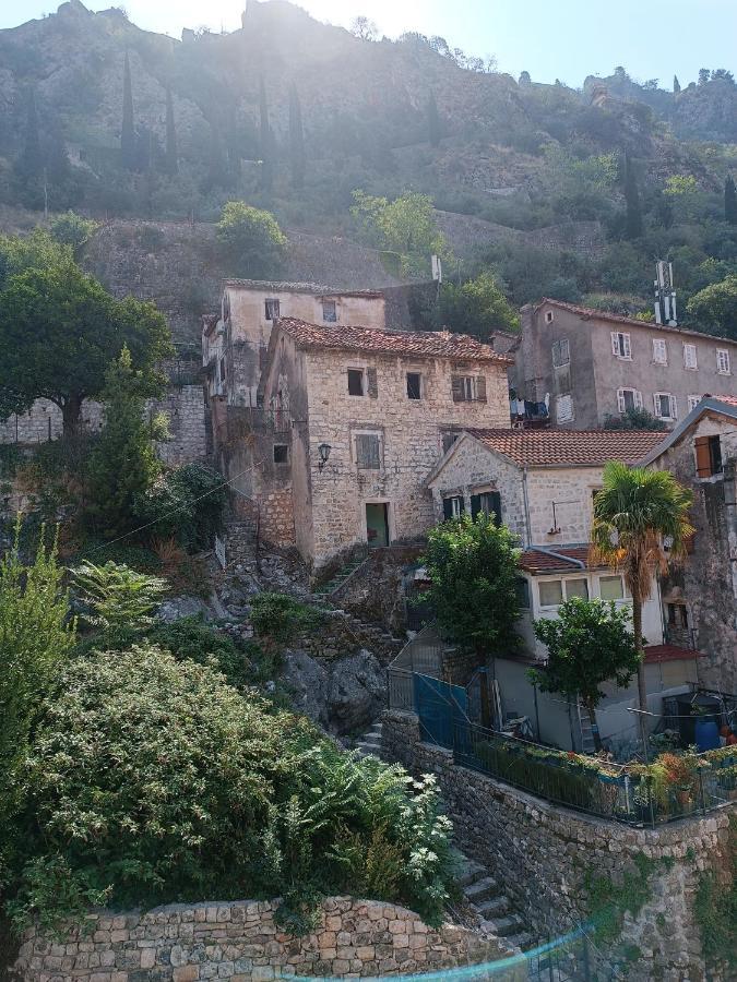 Guesthouse Bit Accommodation Kotor Bagian luar foto